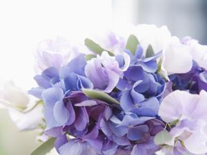 名古屋で人気の高い結婚相談所は